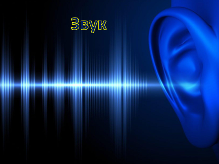 Звук